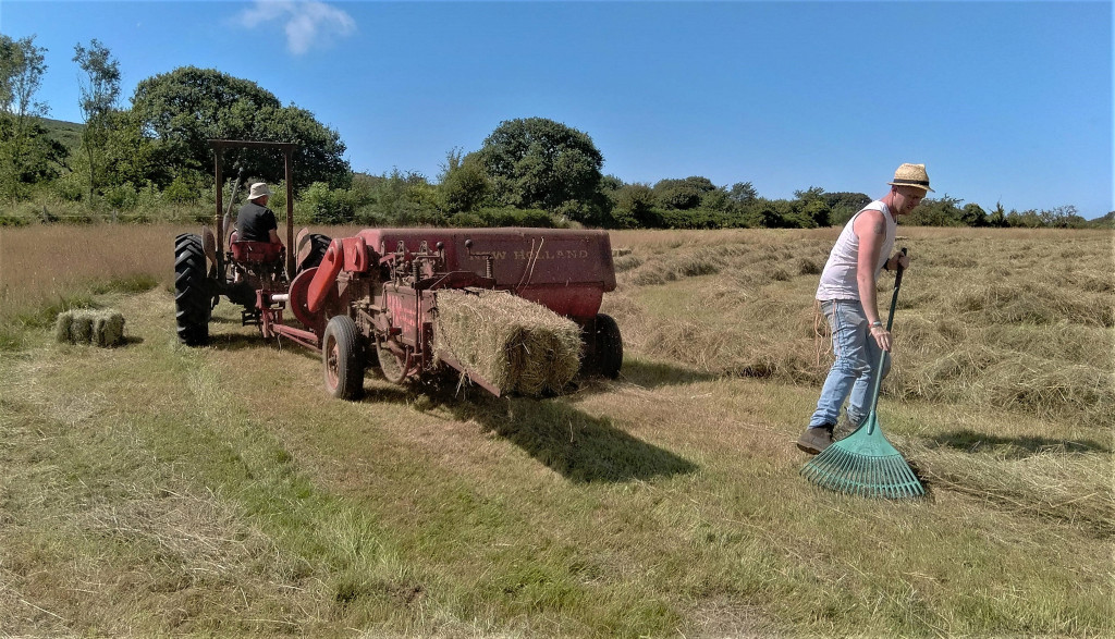 The Wales Real Food and Farming Conference
