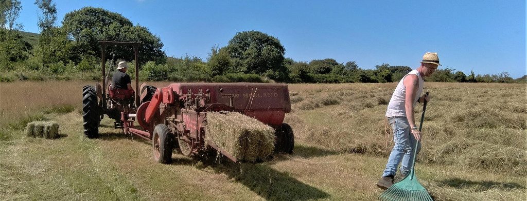 The Wales Real Food and Farming Conference