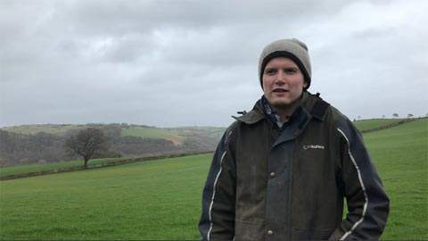 Pioneering Grassland Project Enters Second Year