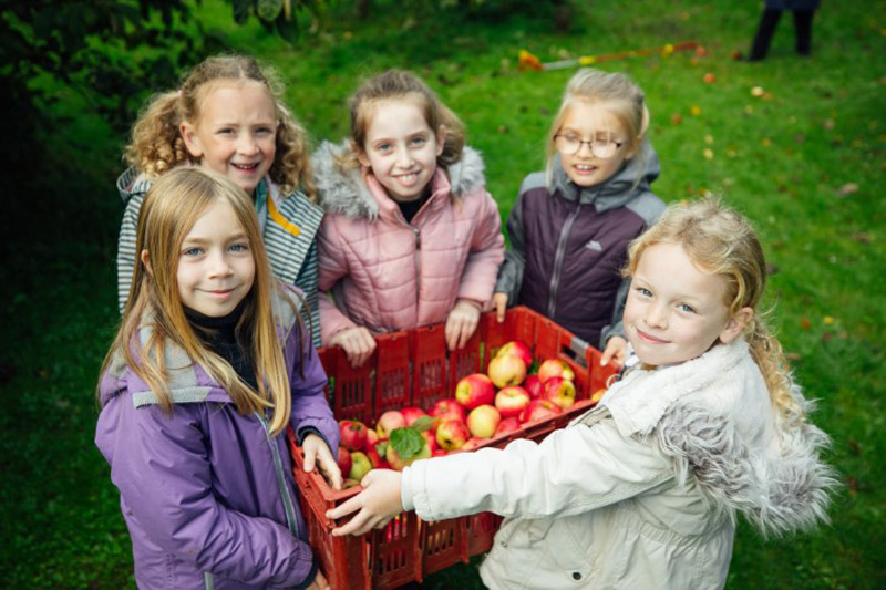 Local Pupils Strengthen Their Roots With Outdoor Lessons On Food Production