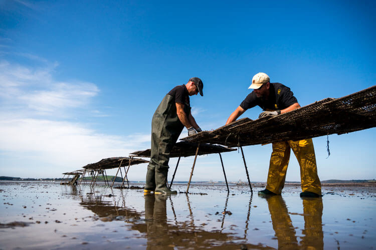 Fishing Industry Gets on Board for Welsh Seafood Week