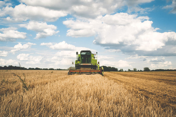 Why Regulation is so Important Along the Food Chain