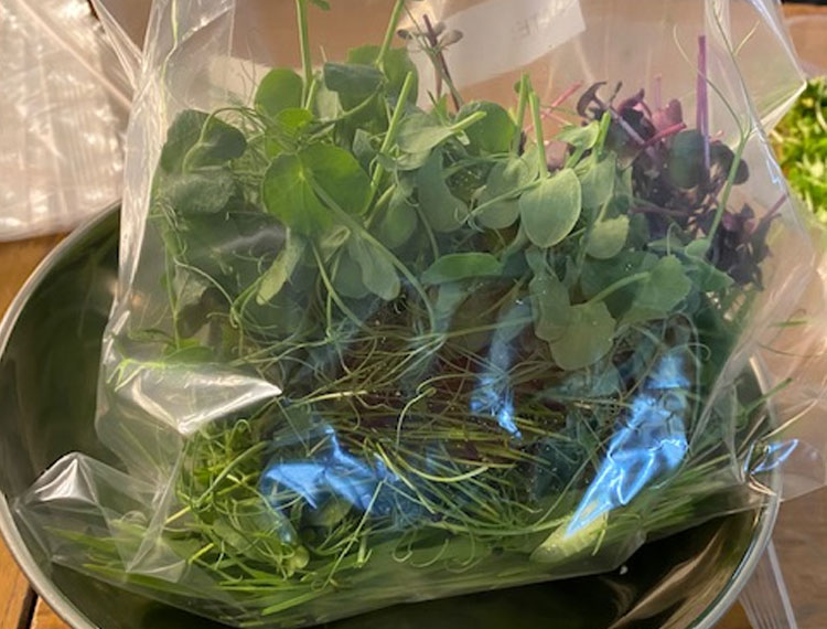 Vertical farming comes to the classroom