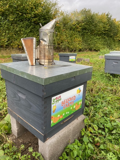 Collaboration Brings Hens And Honey Together