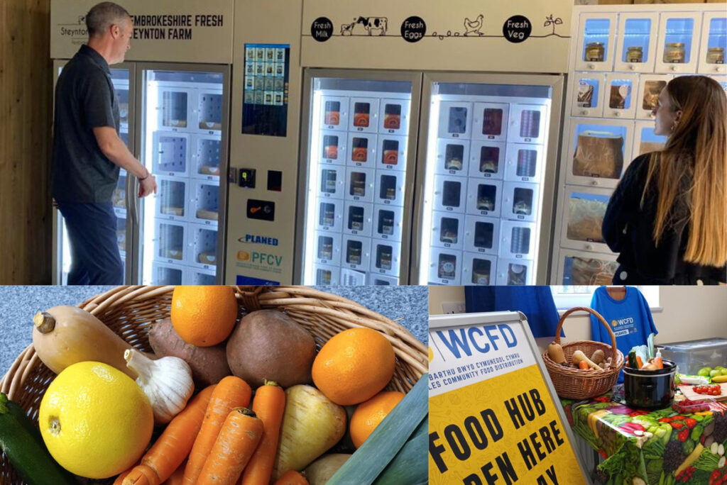 PLANED’s community led food projects progress past the pilots!