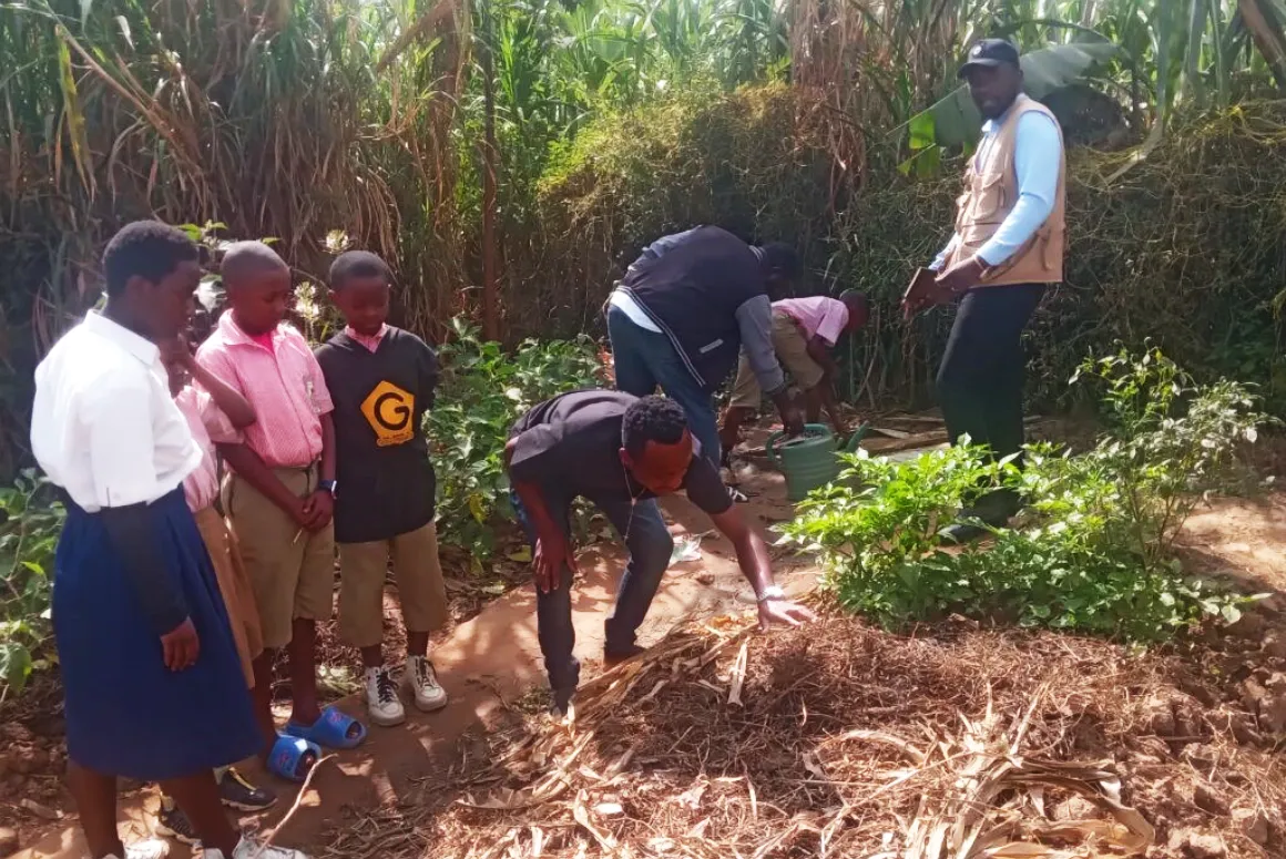 A Meeting of School Gardens, from Wales to Uganda